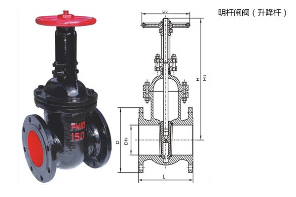 明杆闸阀结构图