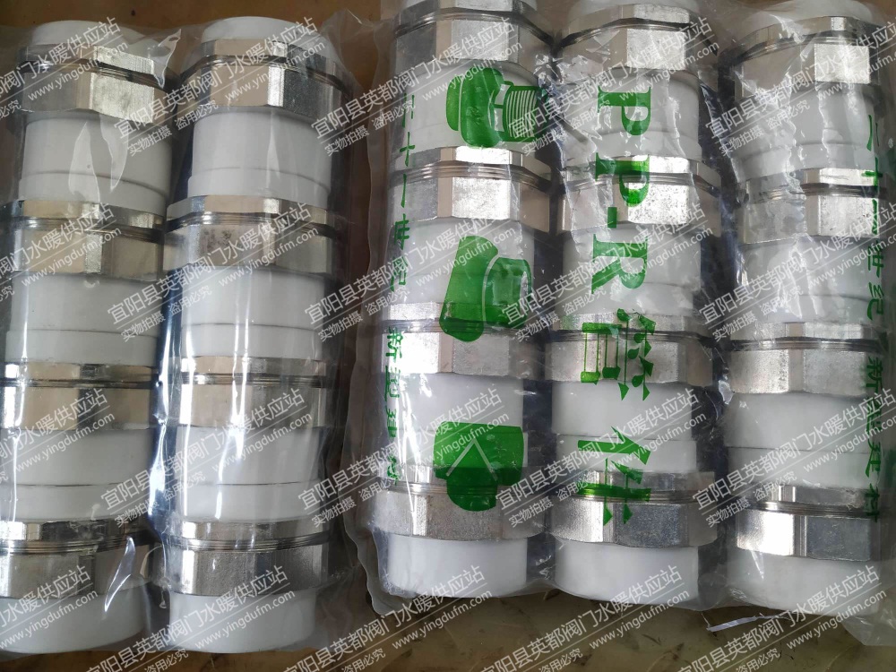 PPR双头铁活接