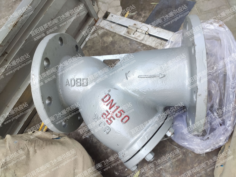 铸钢法兰Y型过滤器